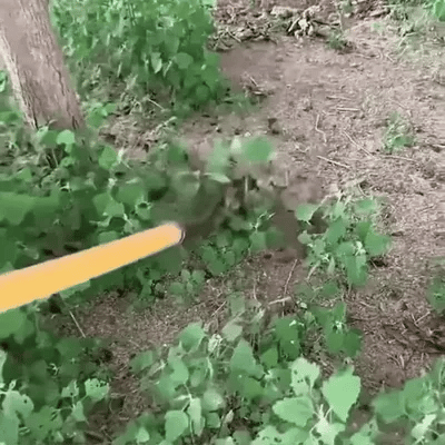 Tu jardín limpio y cuidado,