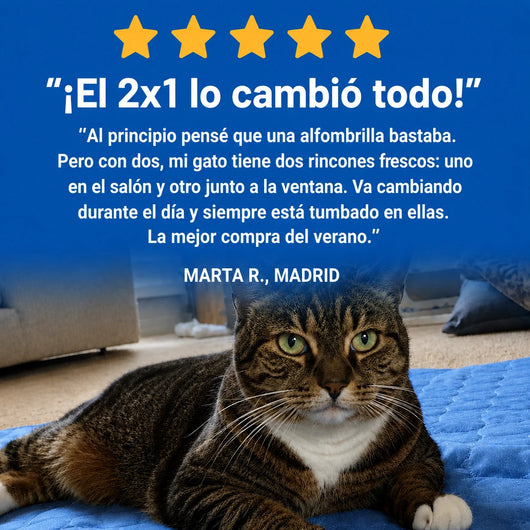 Alfombra Refrescante Jovieza™ (2 por 1)