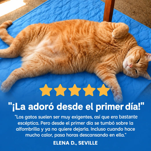 Alfombra Refrescante Jovieza™ (2 por 1)
