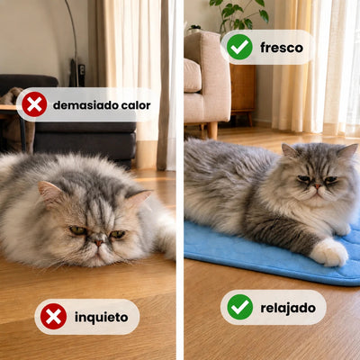 Alfombra Refrescante Jovieza™ (2 por 1)